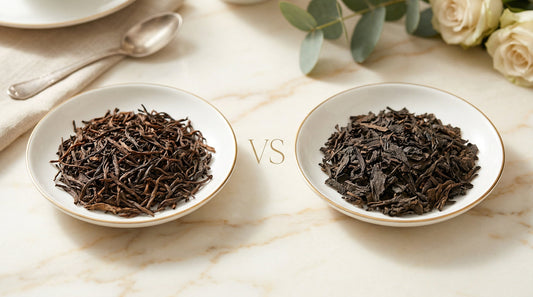 Liubao Tea vs Pu-erh: What’s the Difference? (2026 Guide)